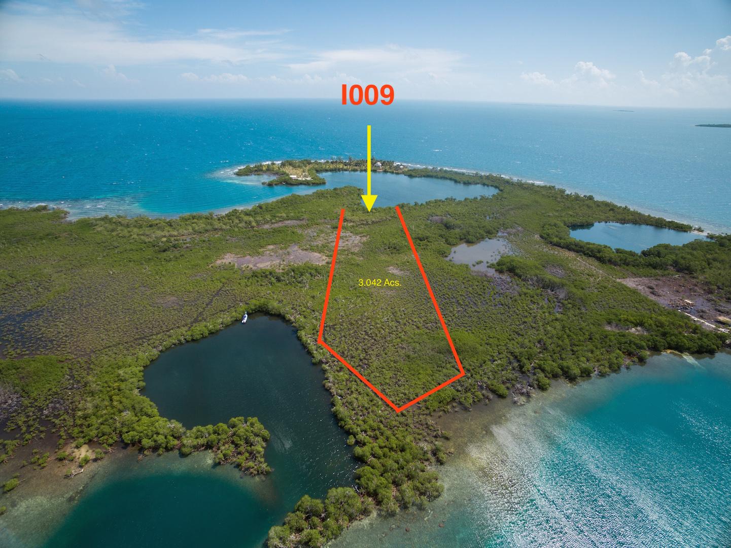 Lark Caye image