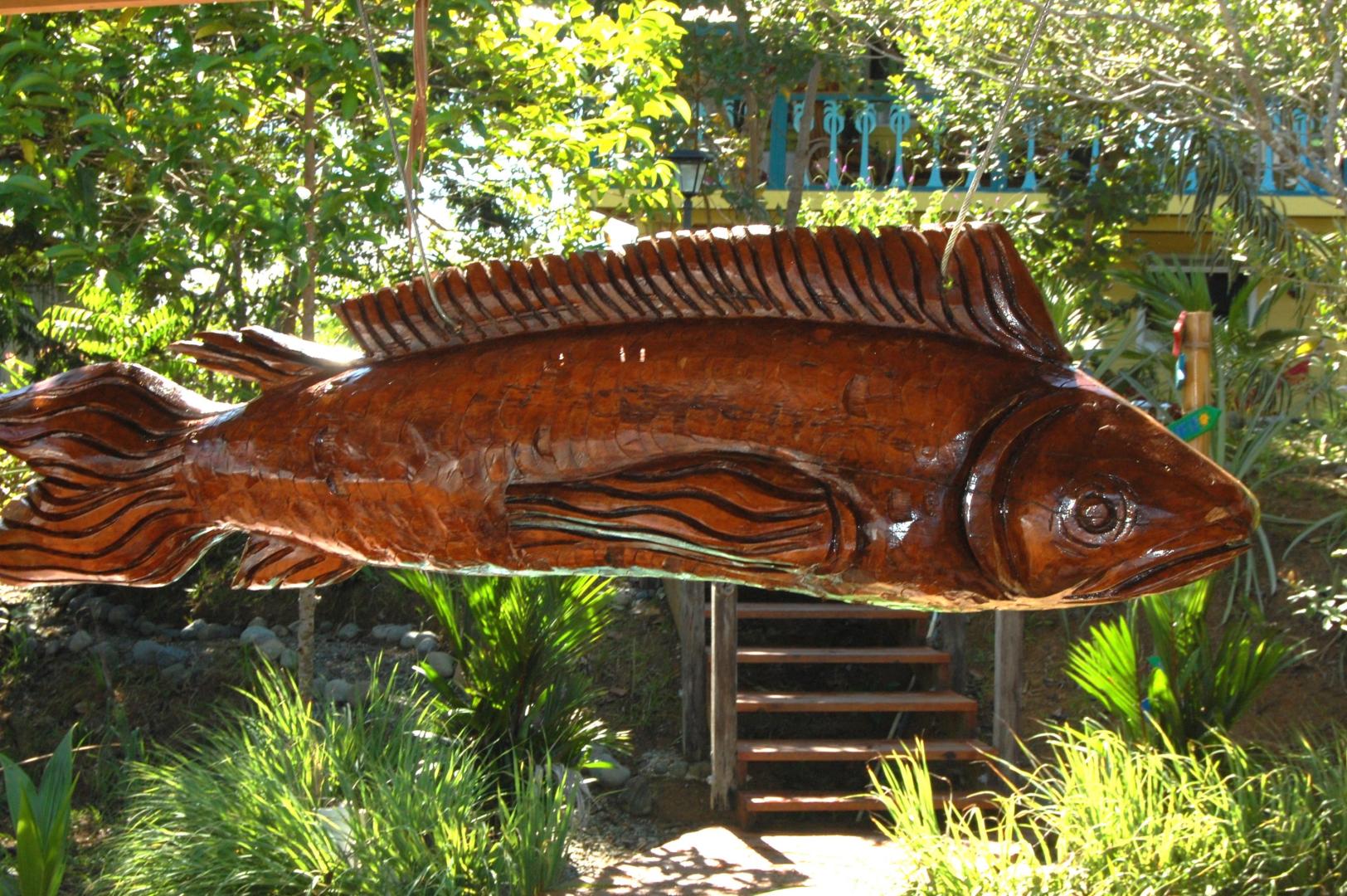 Isla Carabana Sol image