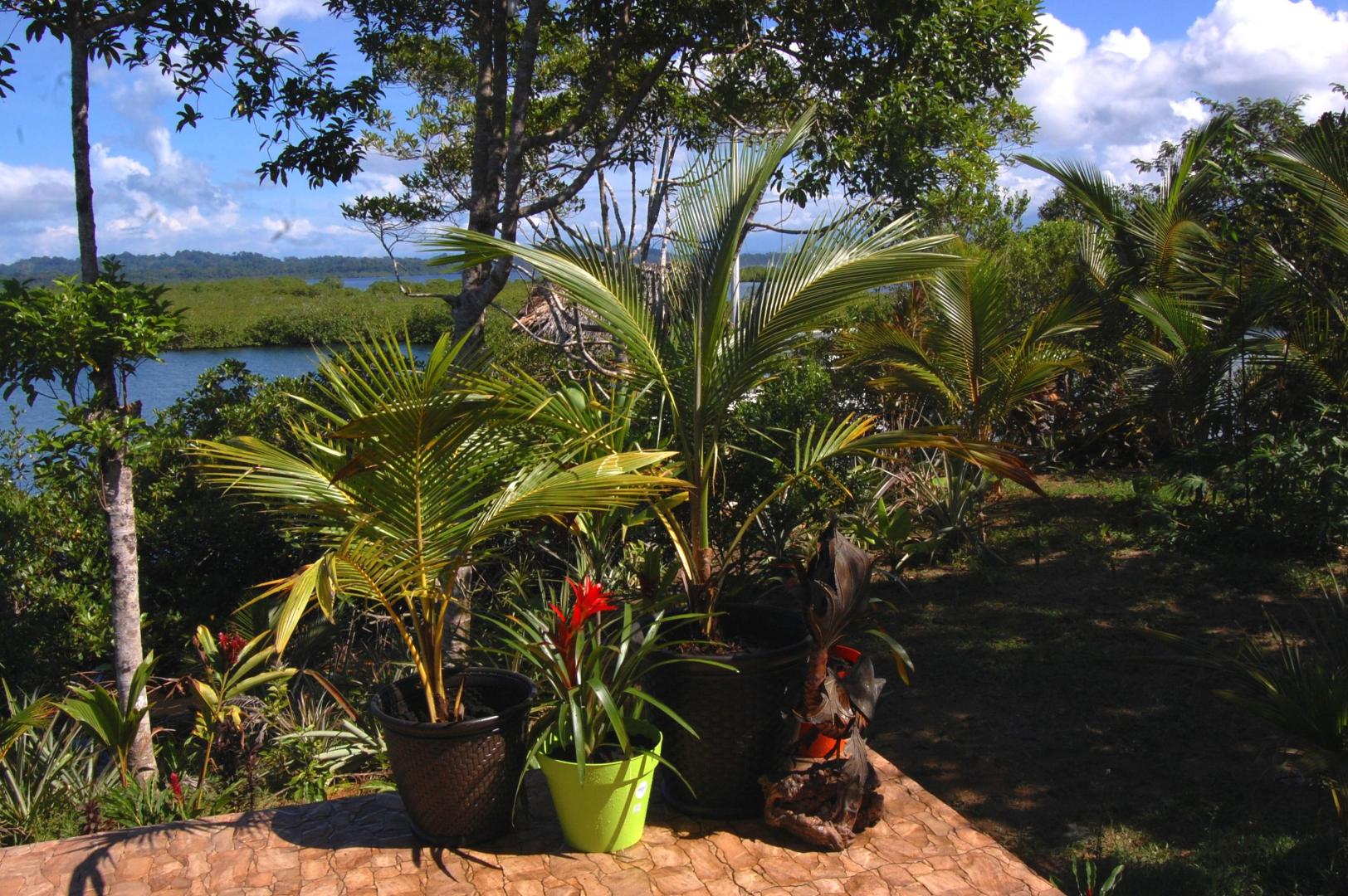 Isla Carabana Sol image