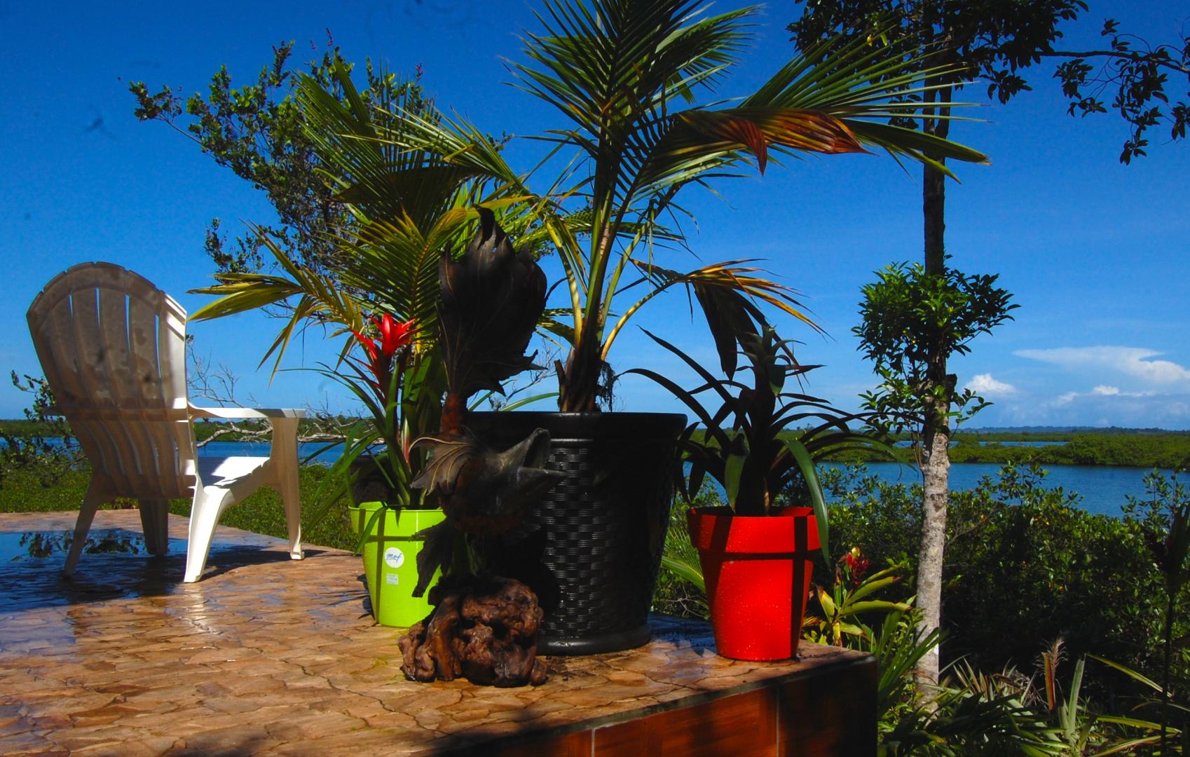 Isla Carabana Sol image