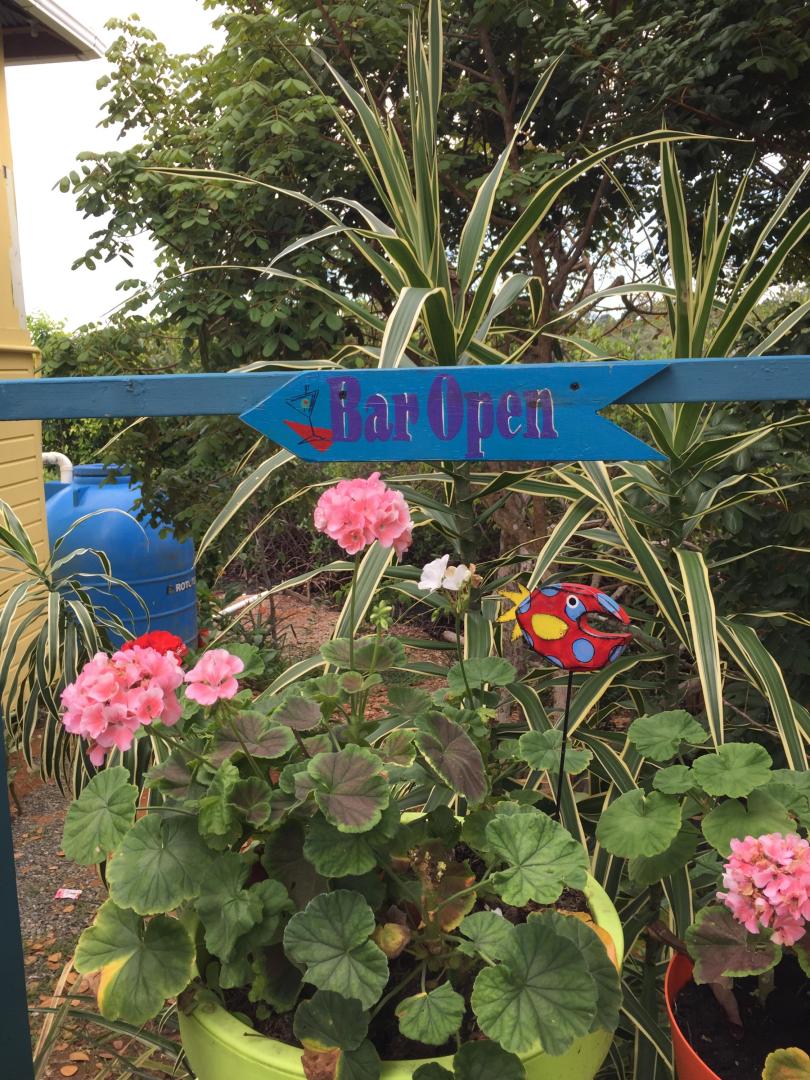 Isla Carabana Sol image