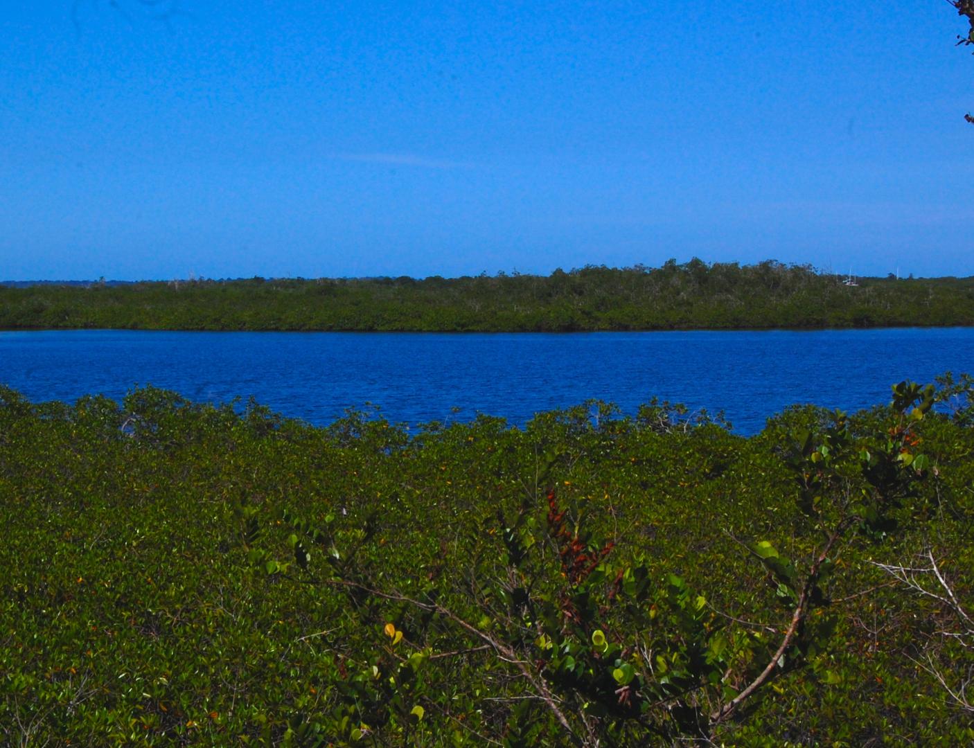 Isla Carabana Sol image