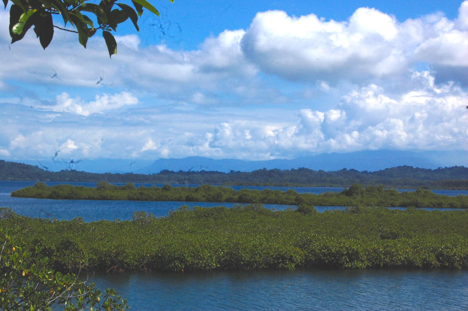 Isla Carabana Sol image