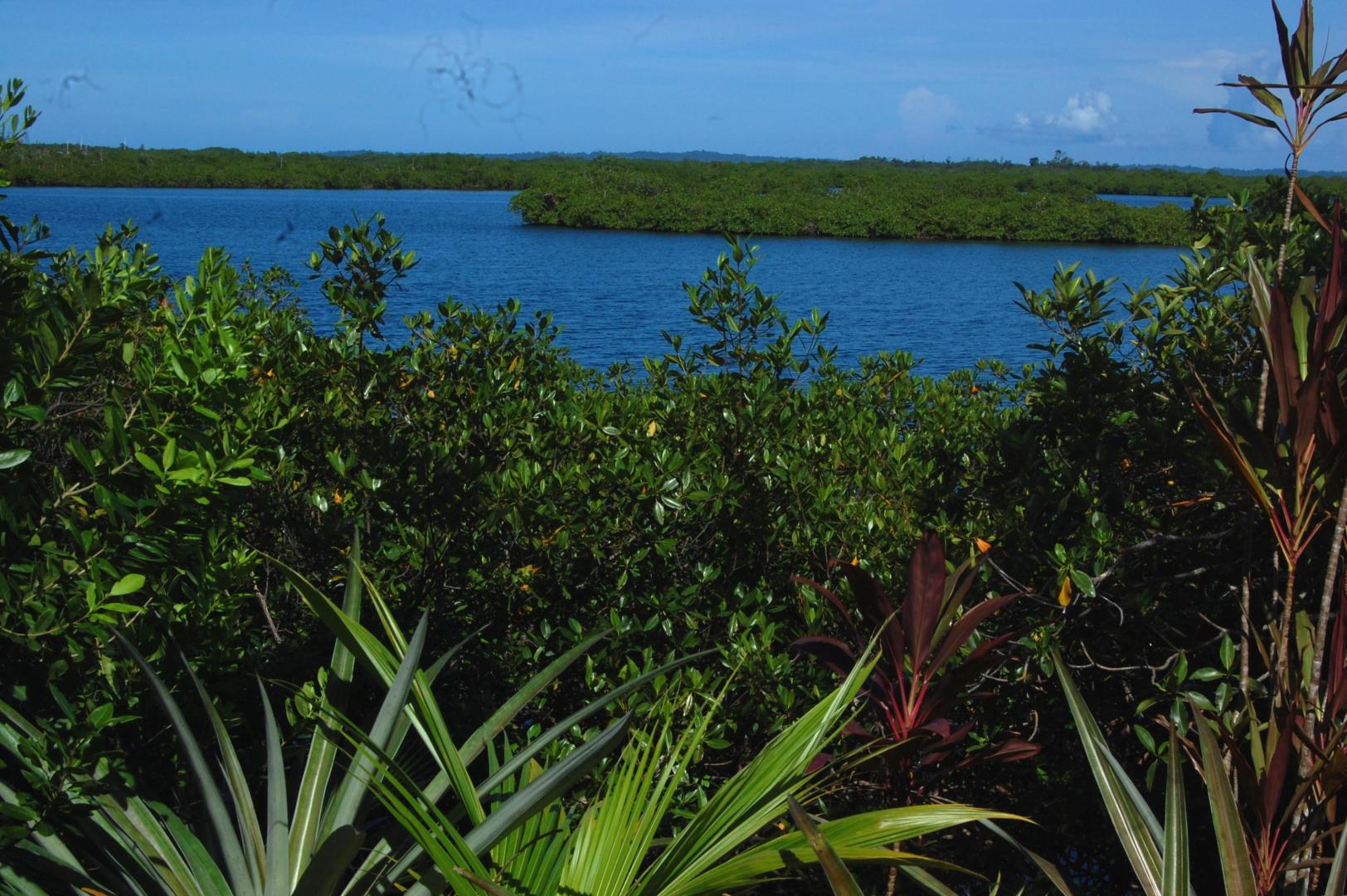 Isla Carabana Sol image