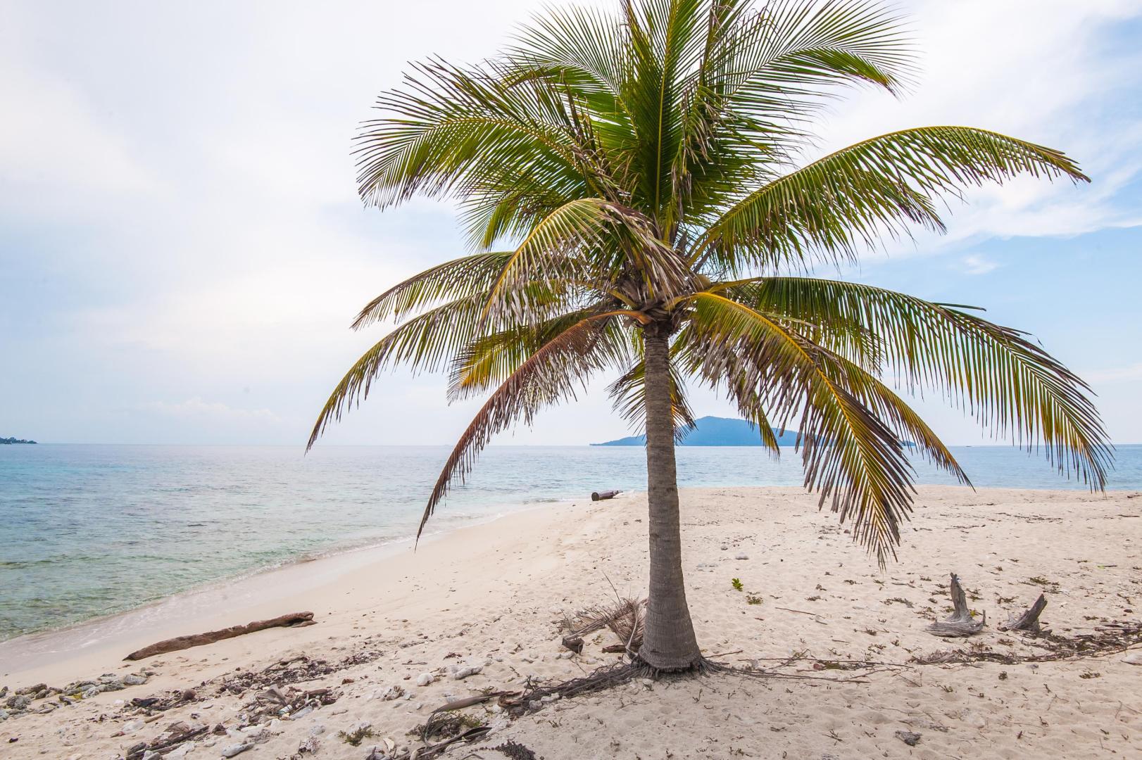 Lambay Cay island for sale - Cayos Cochinos