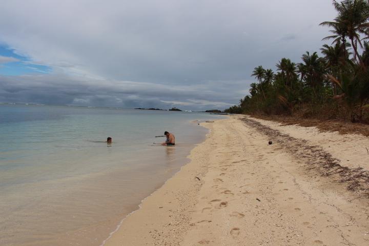 Tavewa Island Property image