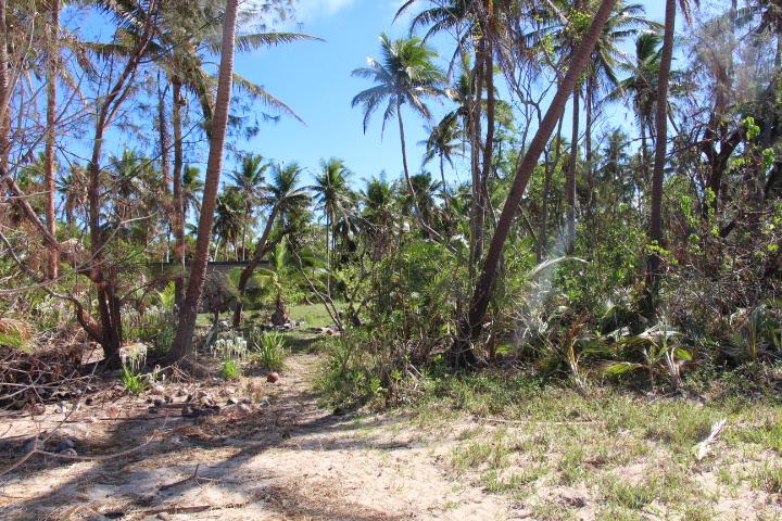 Tavewa Island Property image