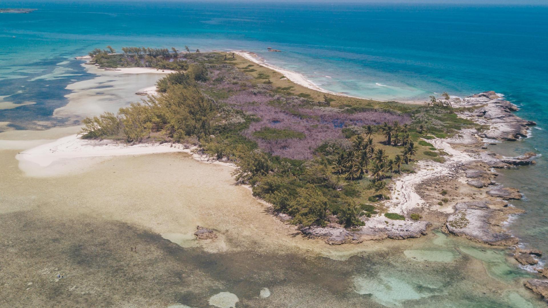 Hawks Nest Cay, 26 acres image