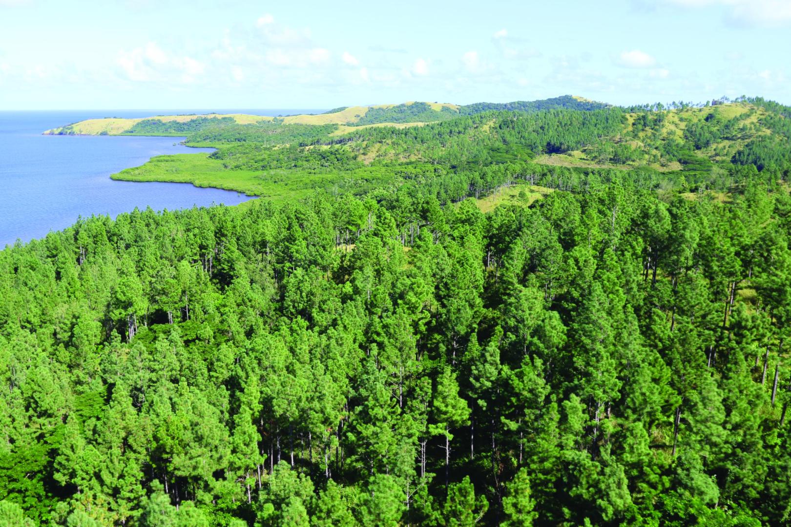 Largest coastal freehold property in Fiji image