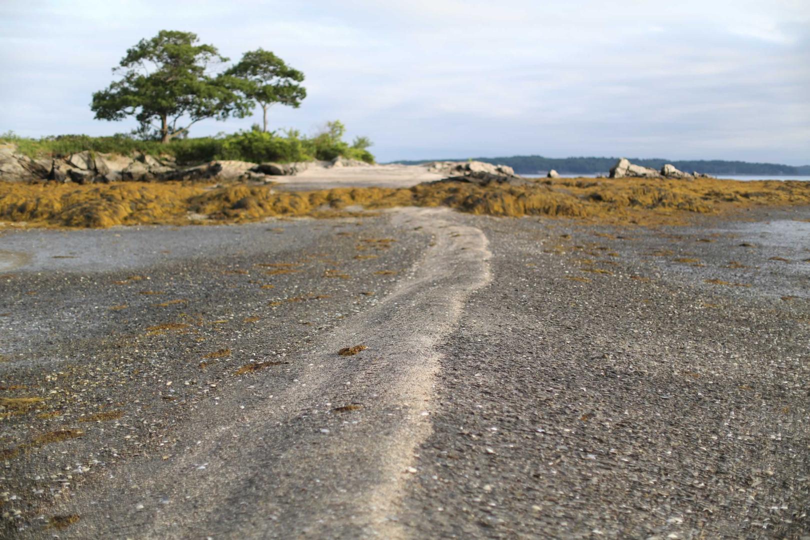 Clapboard Island image