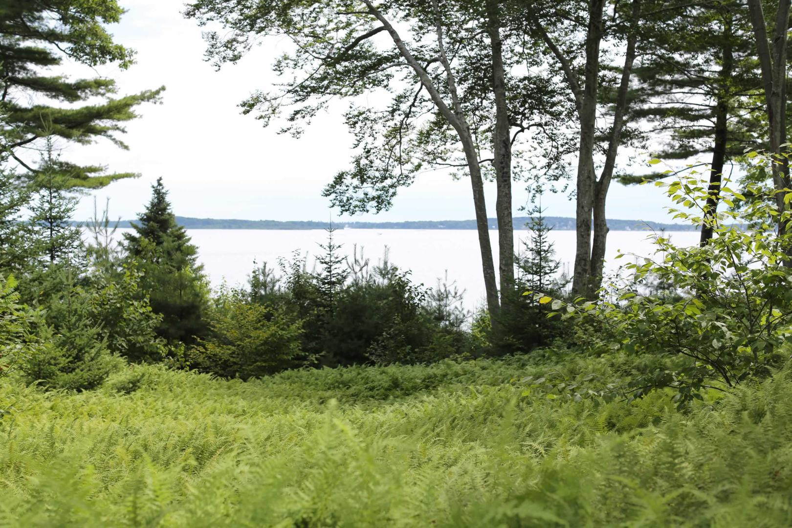 Clapboard Island image