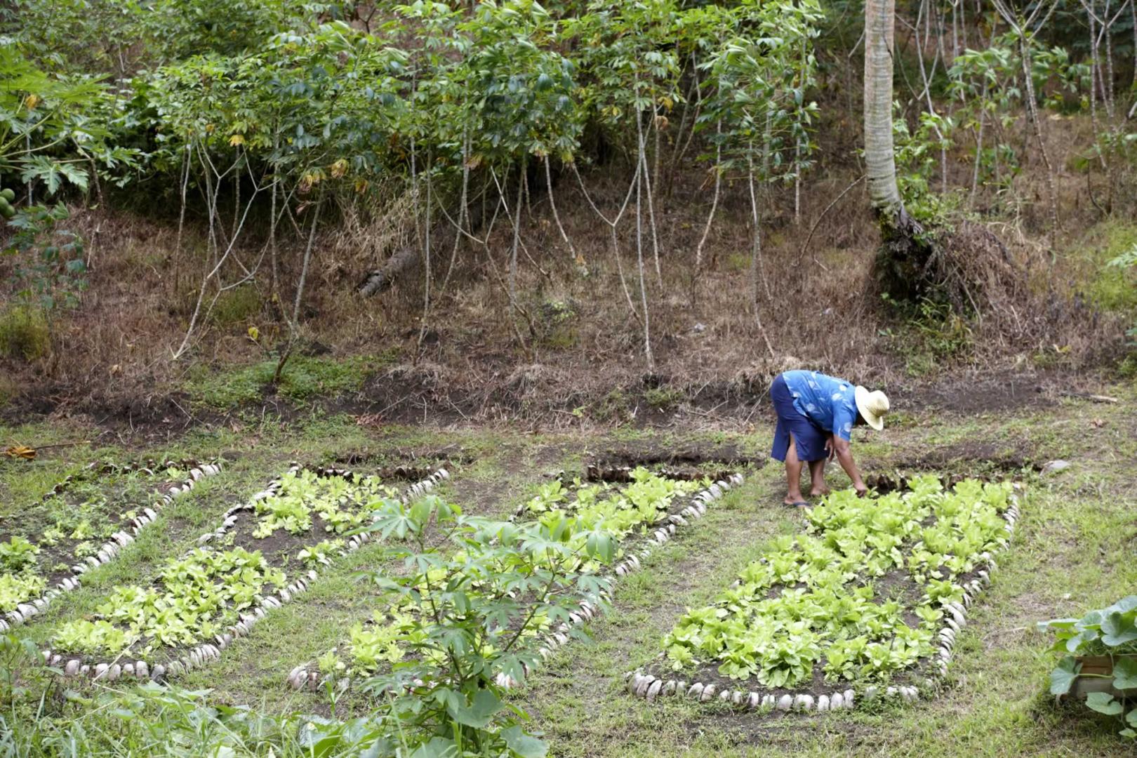 Koro Sun Resort image