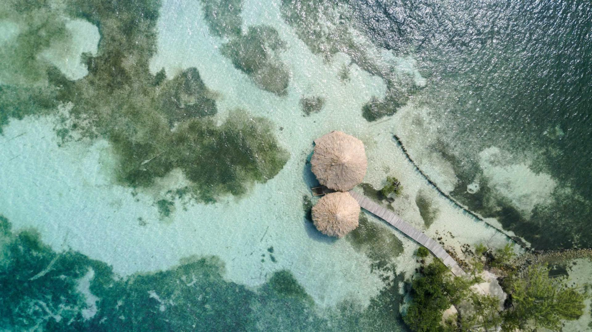 Thatch Caye image