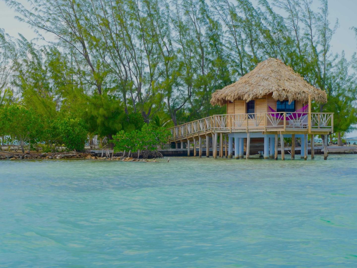 Thatch Caye image