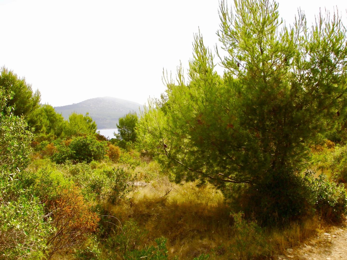 Trstenik Island image