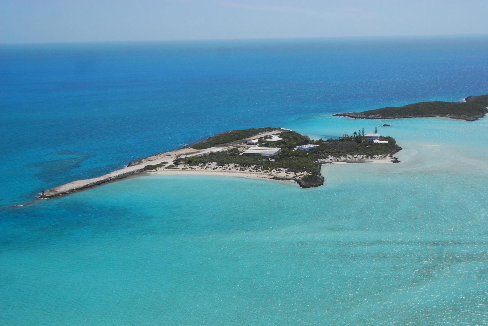 Leaf Cay image