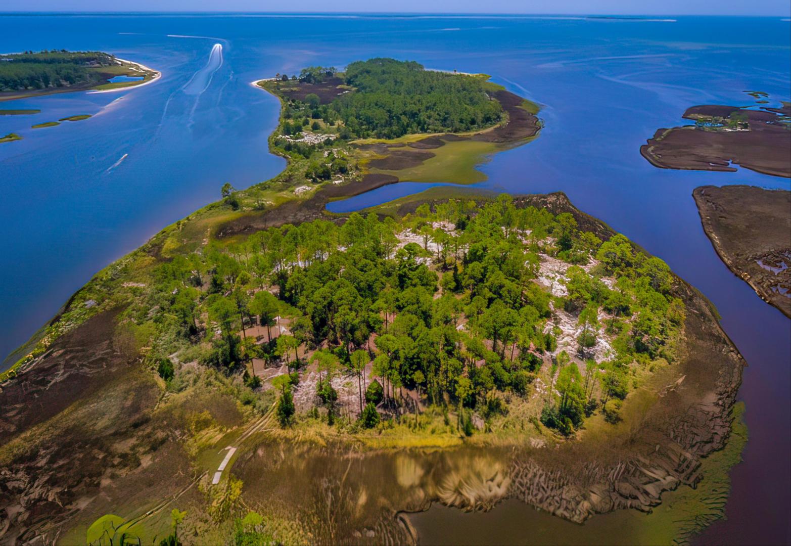 Timber Island image