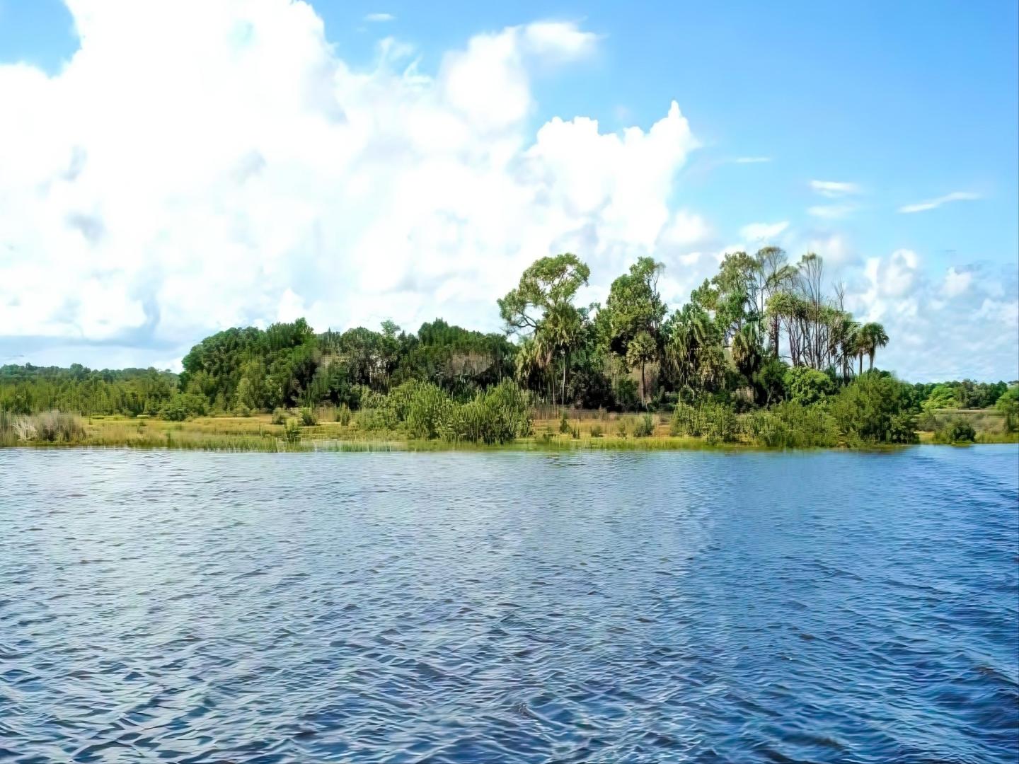 Ormond By the Sea image