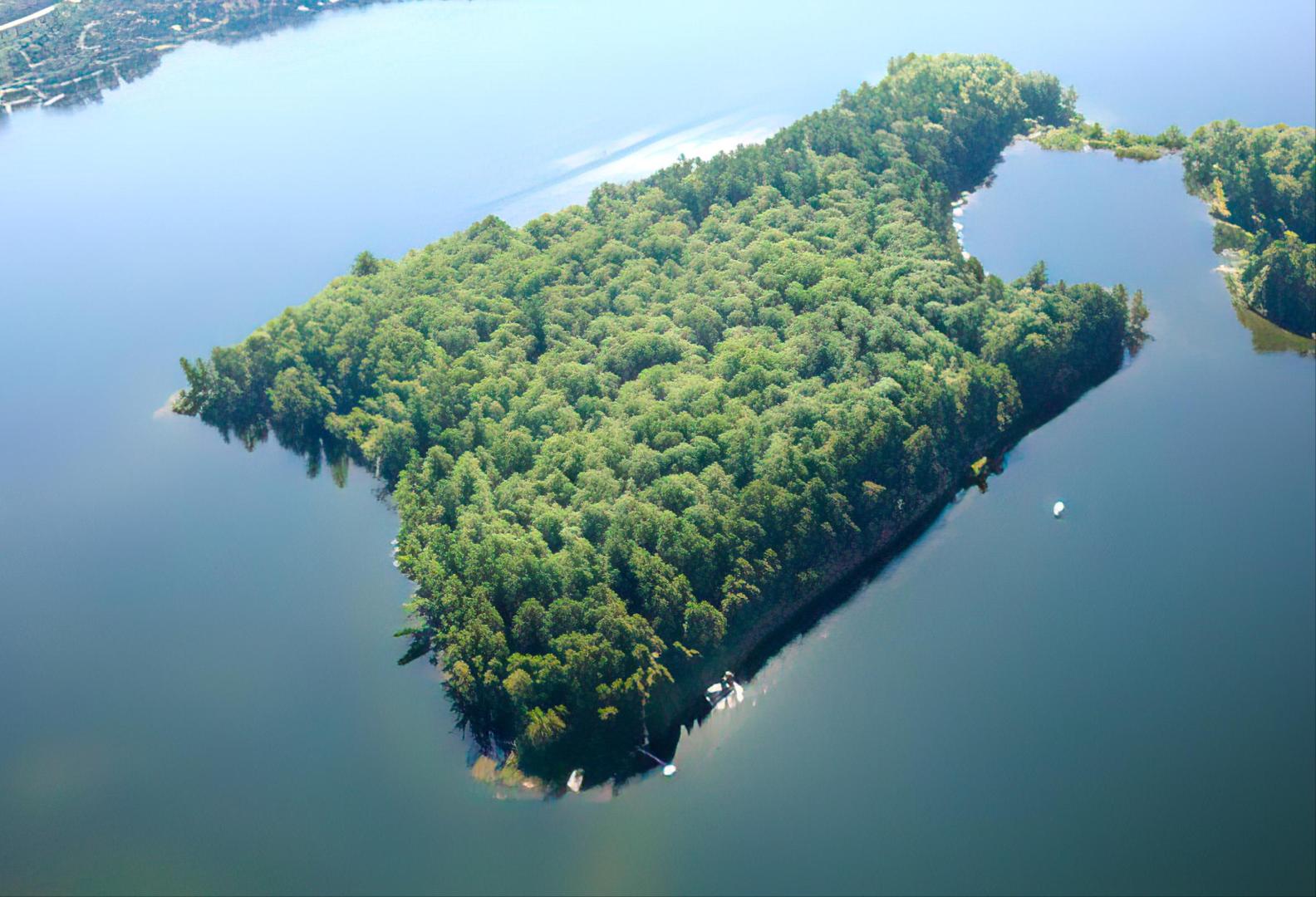 Big Island Retreat image