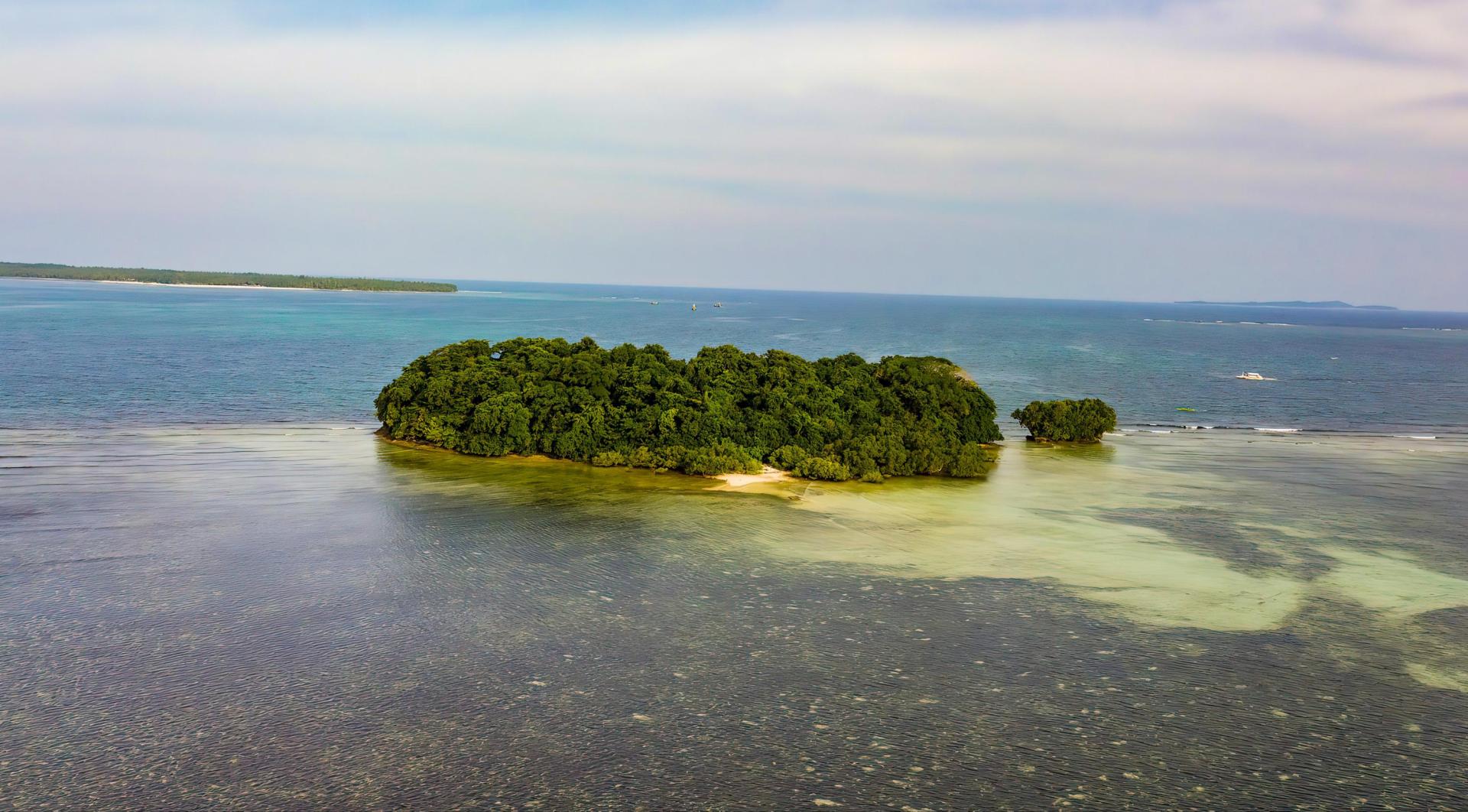 Janoyoy Island image