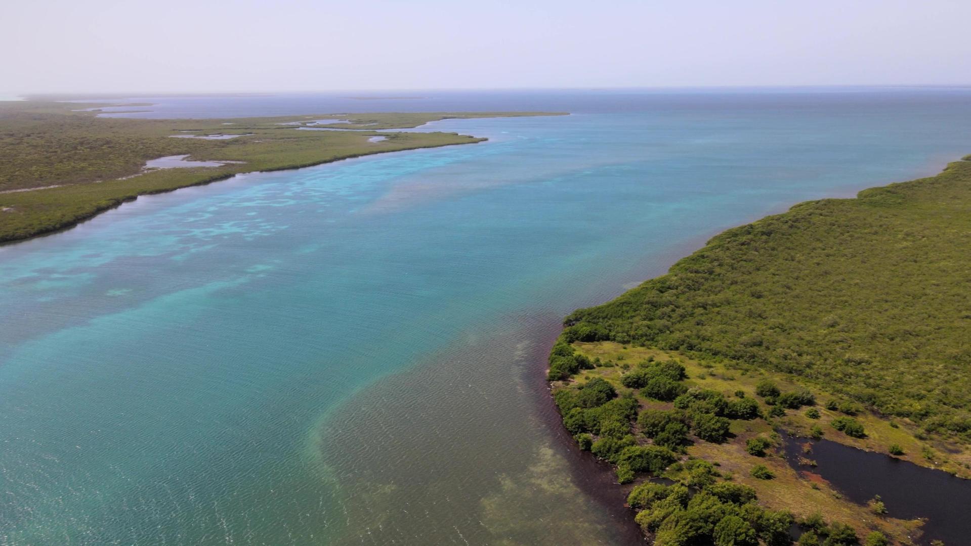 Turneffe Coral Beach Atoll image