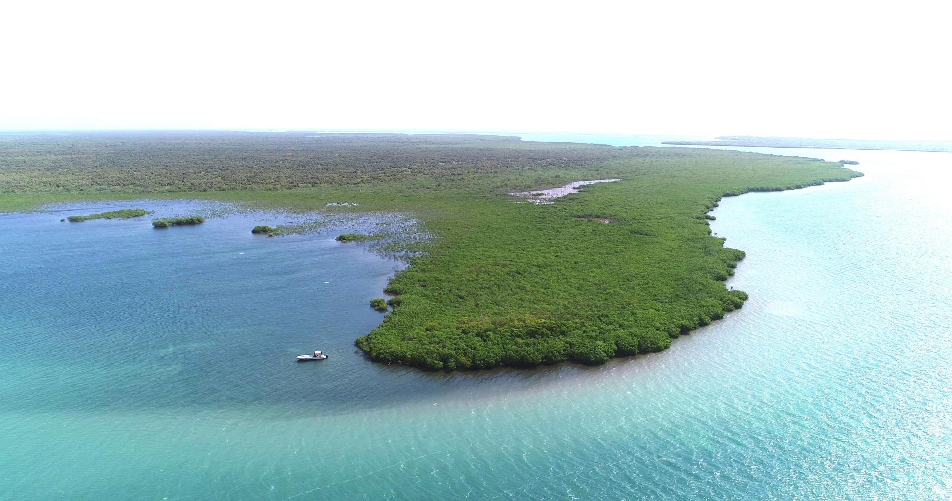 Turneffe Coral Beach Atoll image