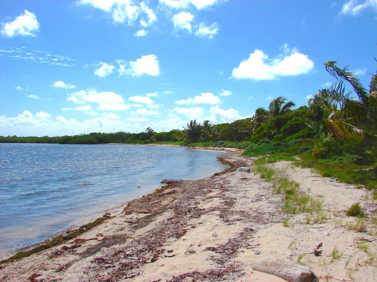 Beachfront Lot on Long Caye image