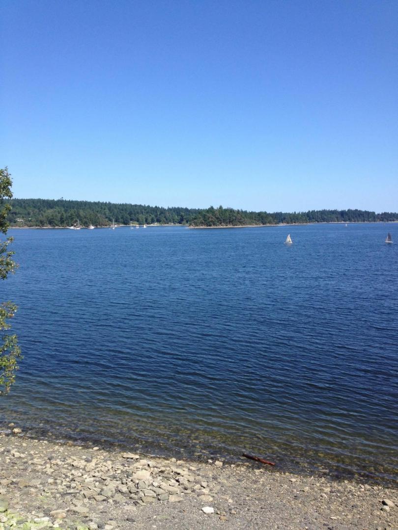 Dunsmuir Island image