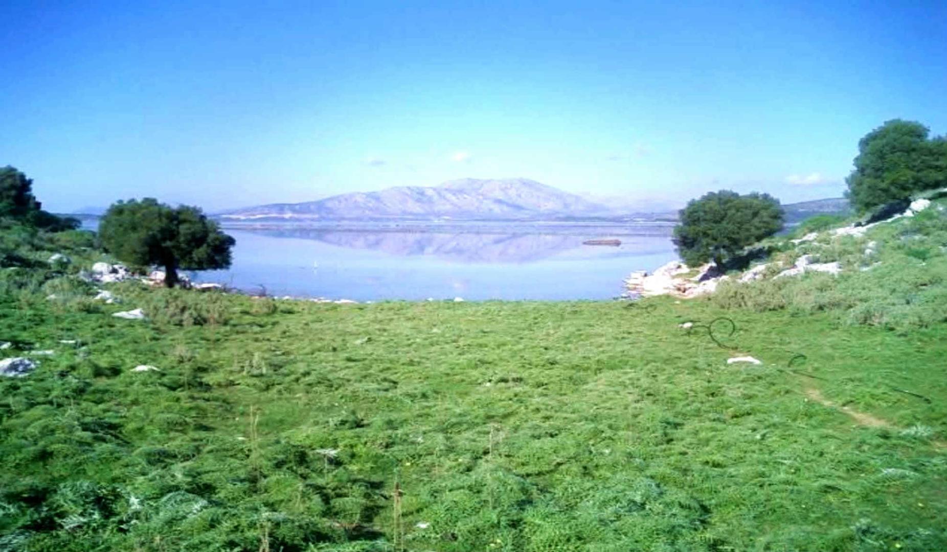 Dulichium Island image