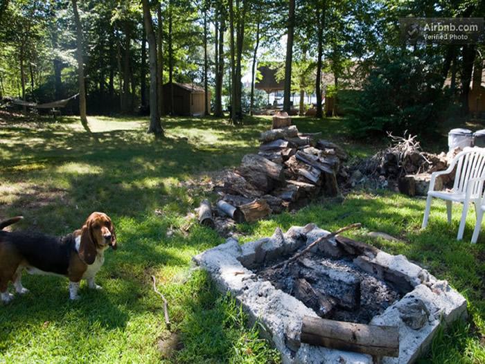 Laurel Island&nbsp; image