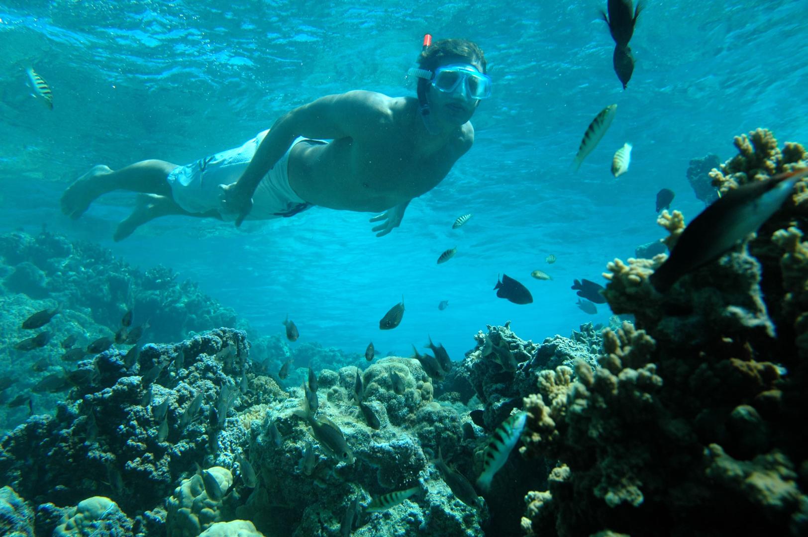 Sofitel Bora Bora Marara Beach image