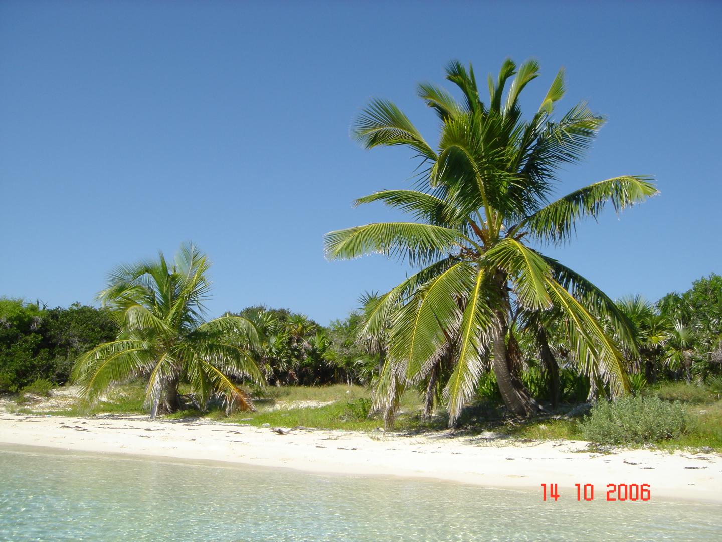 Sand Dollar Cay image