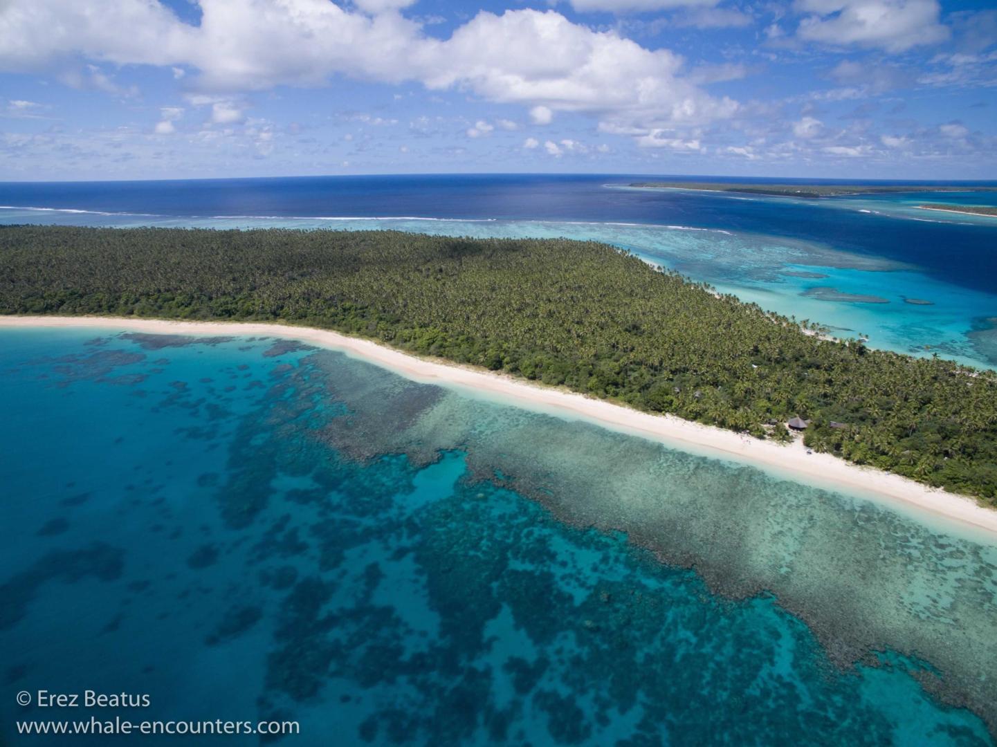 Serenity Beaches Resort image