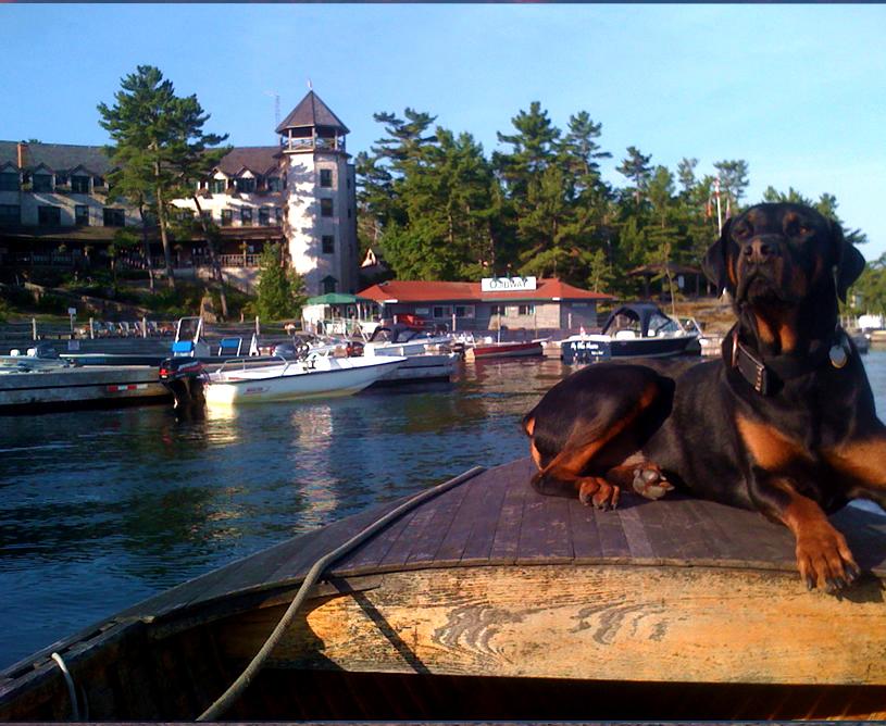 Pointe Au Baril Island #C400 image