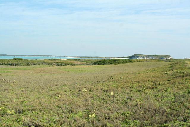 Low Cay image
