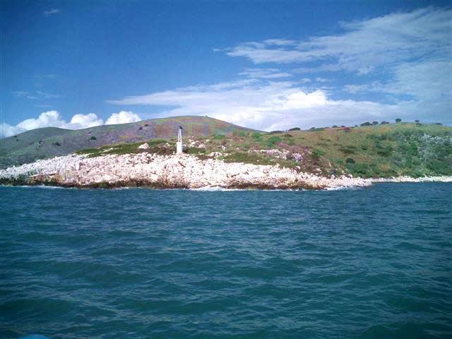 Dulichium Island image