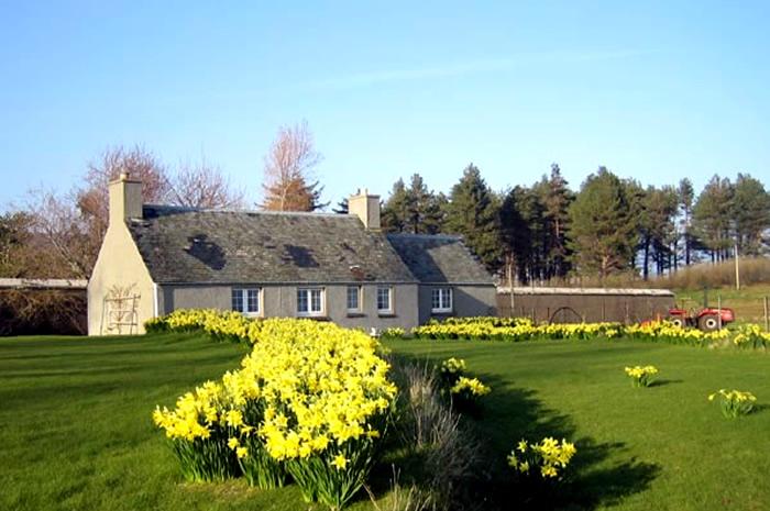 Isle of Scalpay image