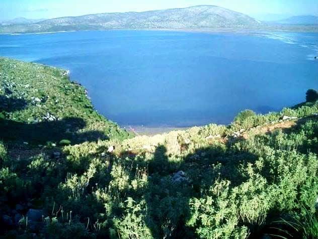 Dulichium Island image