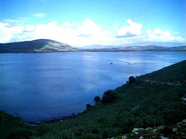 Dulichium Island image