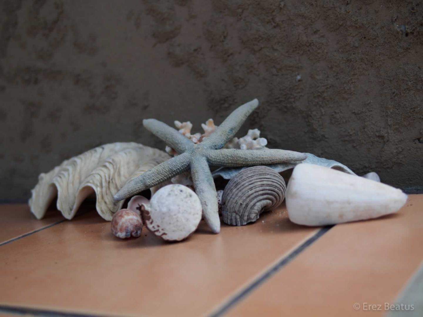 Serenity Beaches Resort image