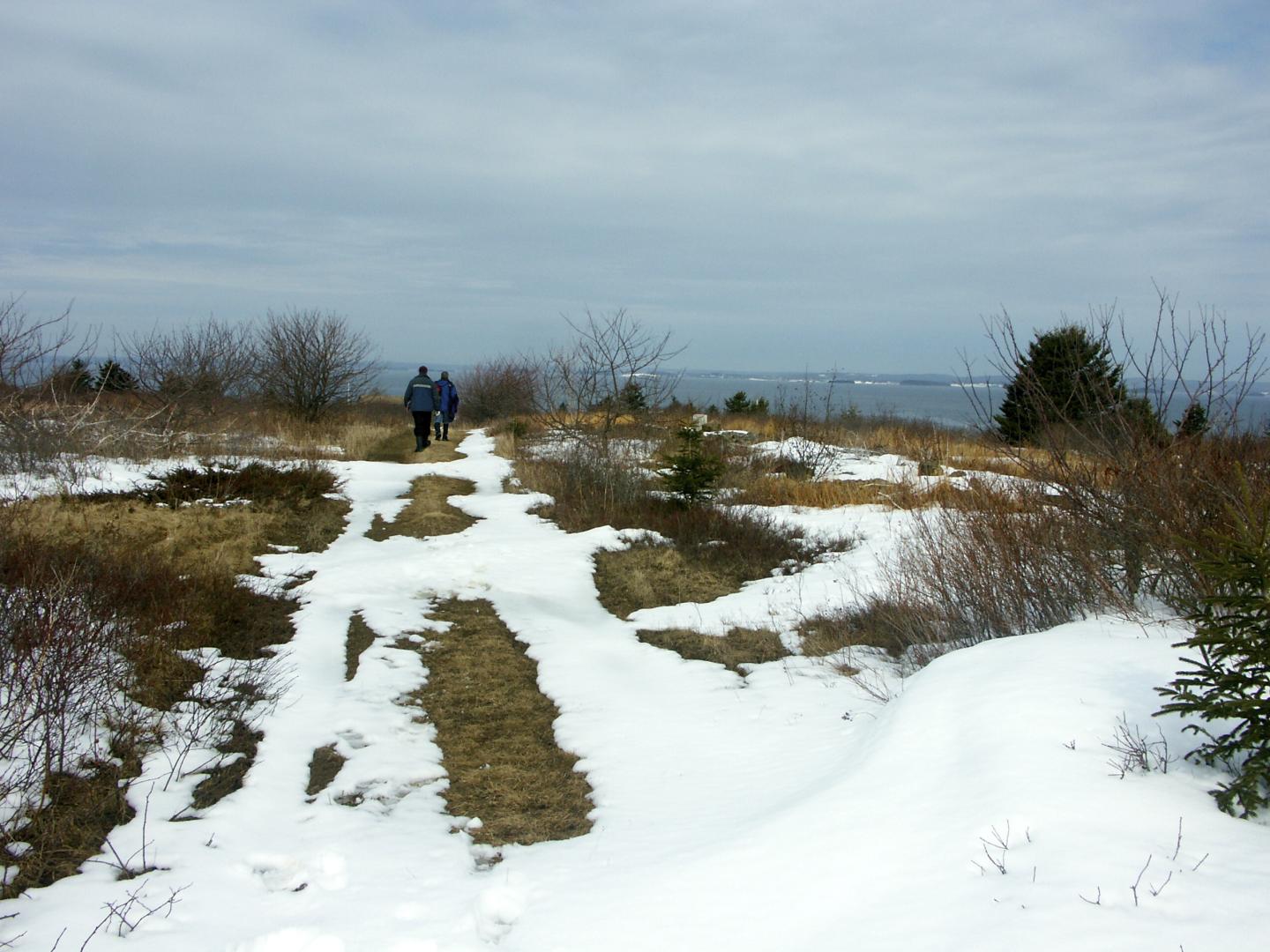 Big Tancook Island image