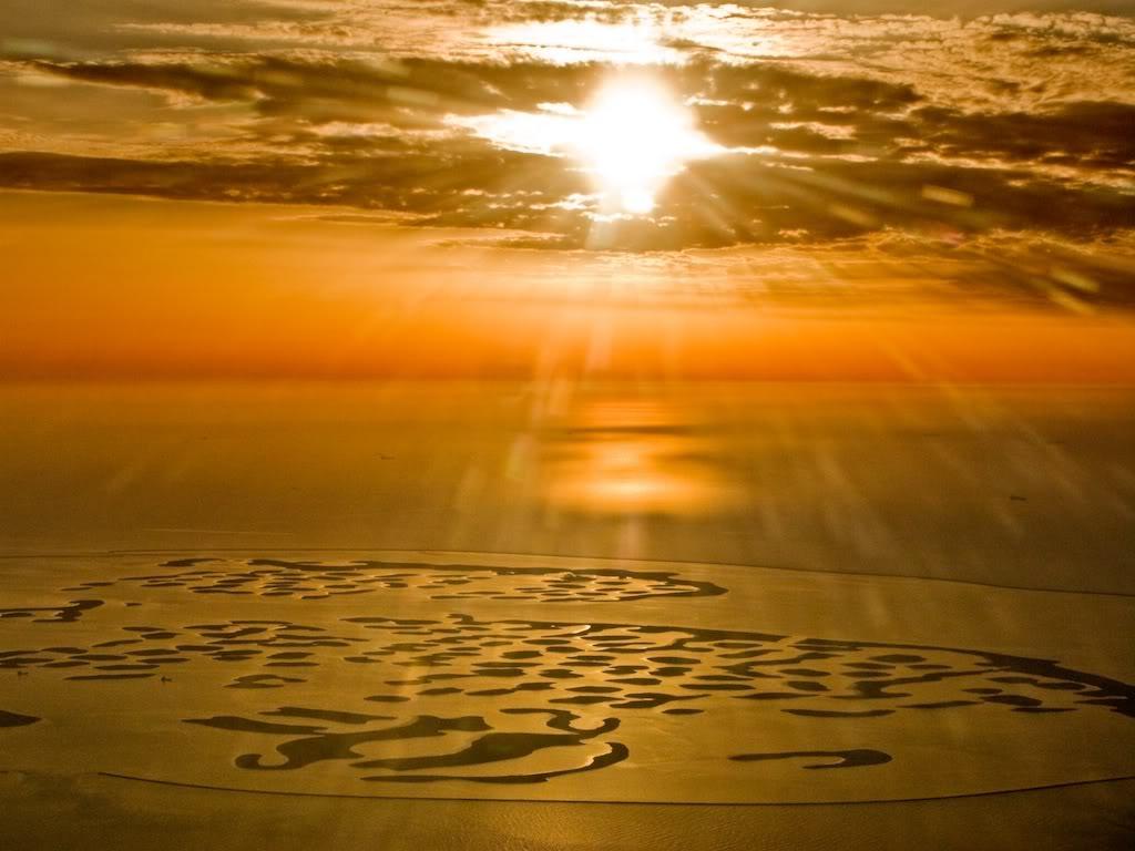 World Island Project (D98) image