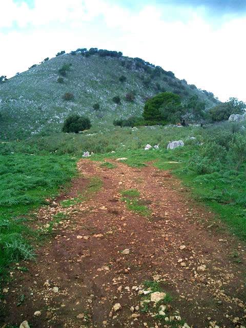 Dulichium Island image