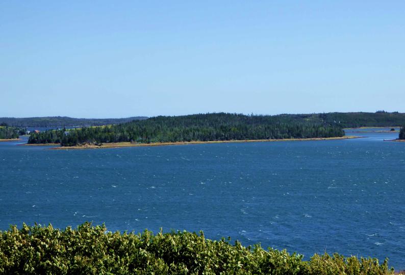 Richards Island image