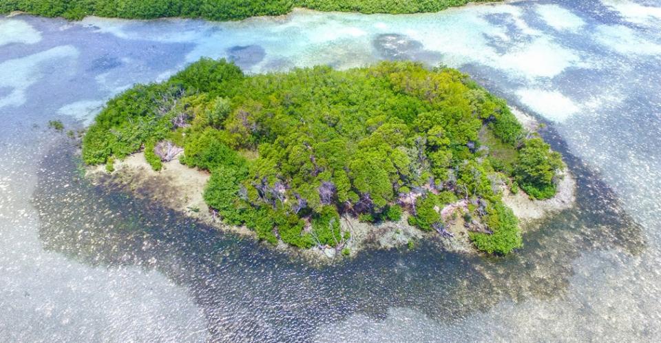 Deadman Caye .941 acres image