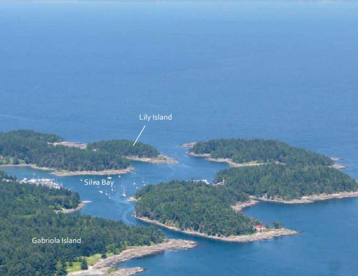 Lily Island image