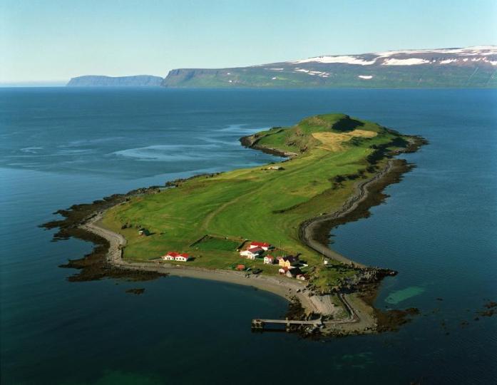 Vigur Island image