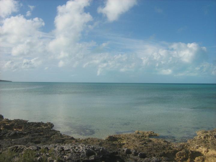 3-acre Parcel on Long Island image