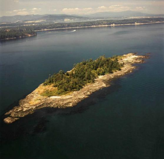 Halibut Island image