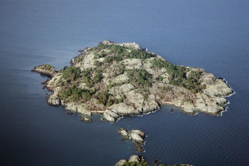 West Ballenas Island image